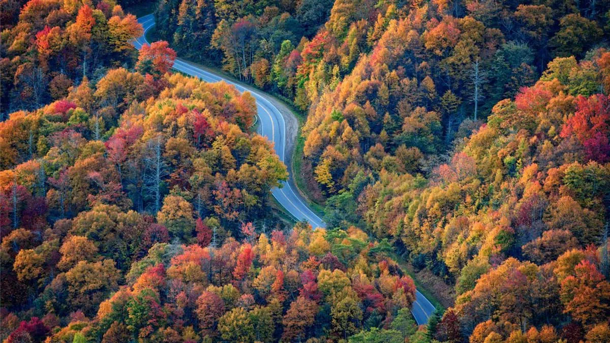 A picturesque winding road flanked by vibrant autumn foliage stretches through gentle hillsides. The scene captures the serene, scenic beauty of the Smoky Mountain area and evokes the excitement of exploring the landscape by car or on foot.
